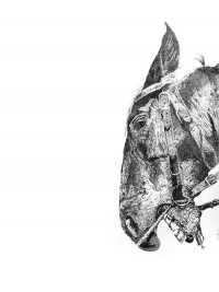 Bina Ali, Horse Whisperer, 22 x 30 Inch, Pen and Ink on Paper, AC-BNAL-001
